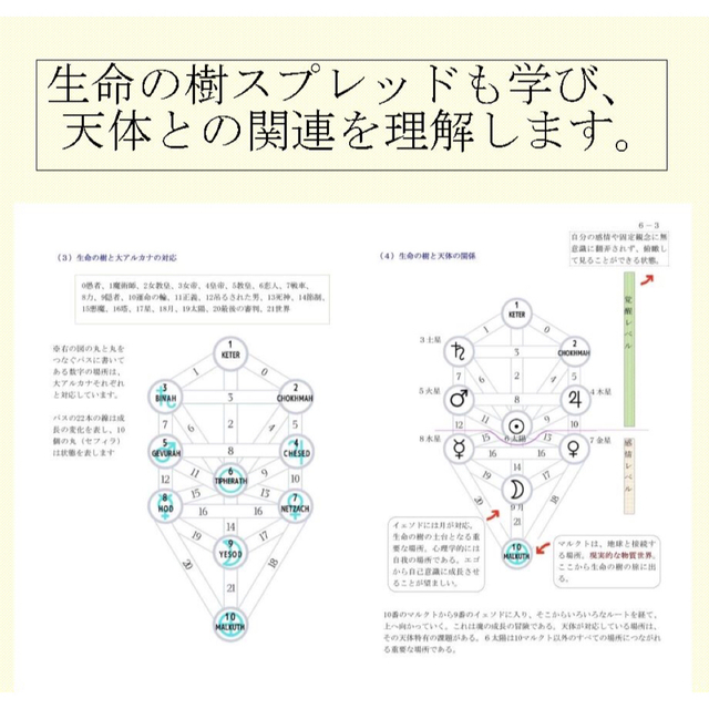 タロッティストのための占星術基本講座テキスト教材☆タロットカード