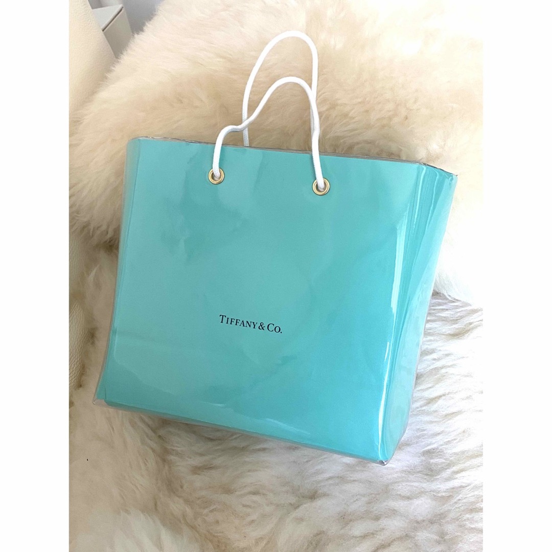 Tiffany & Co. - 何度も使えるブランドショッパー紙袋☆ティファニー