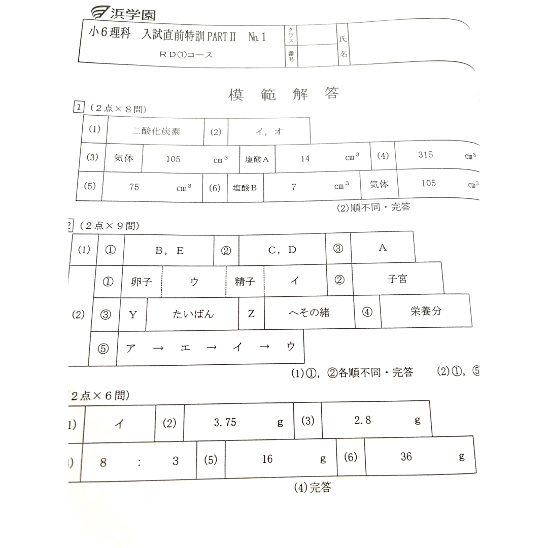 浜学園 小6 入試直前特訓 PART2 国語、算数、理科 復習テストの通販 by