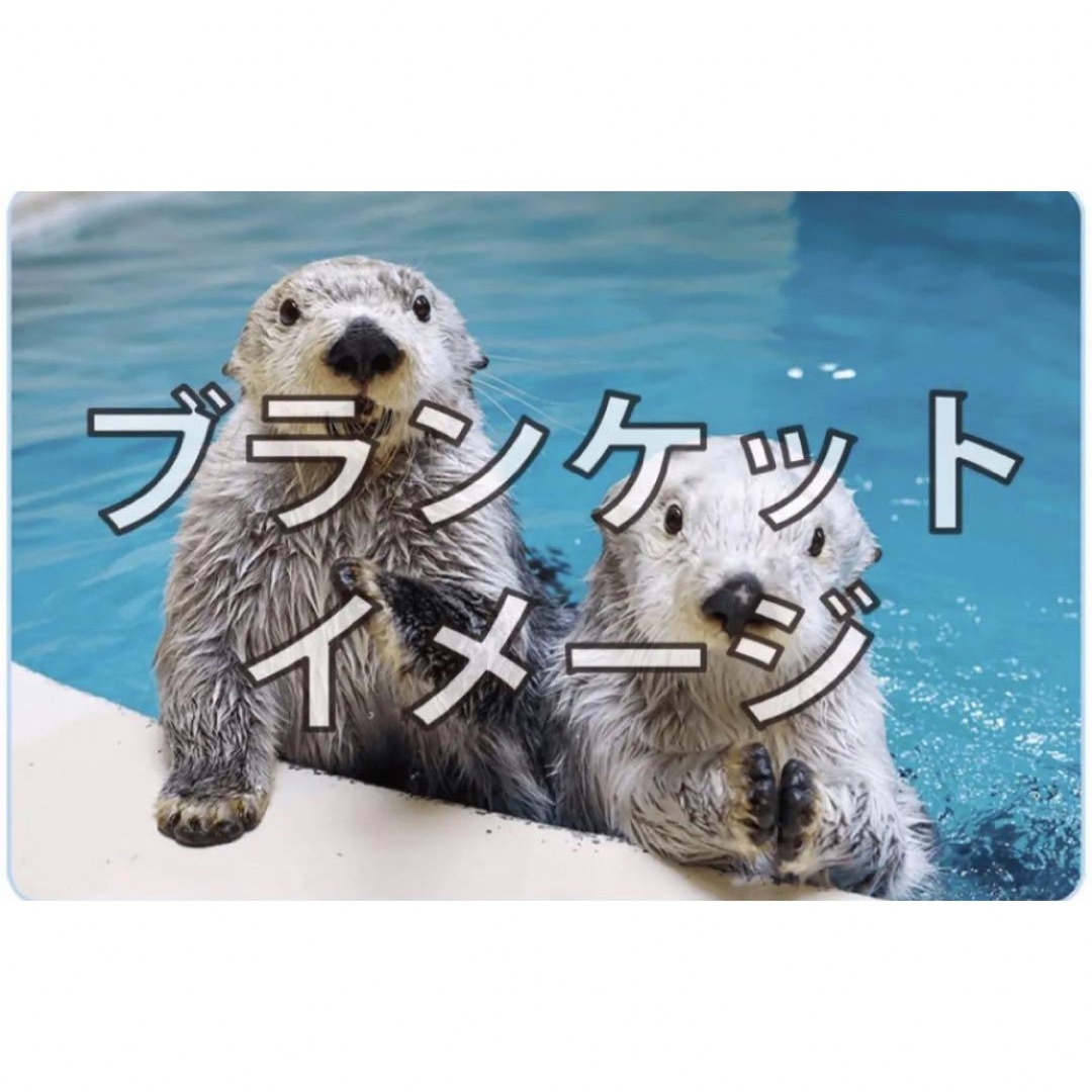 鳥羽水族館☆ラッコ飼育40周年記念 ラッコメモリアルBOOK