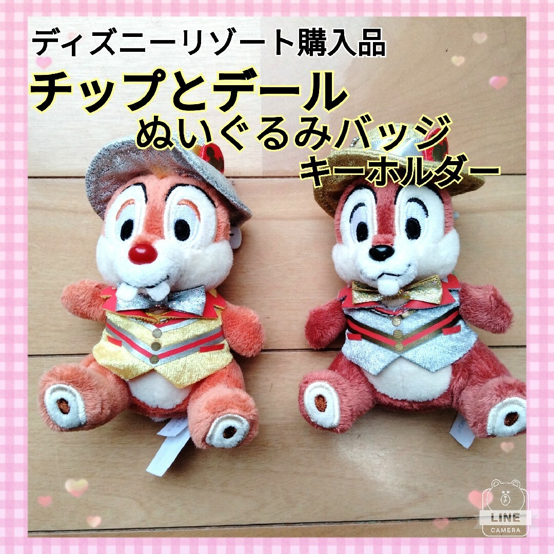 Disney - 【レア！】ディズニーランド チップとデール ぬいぐるみ