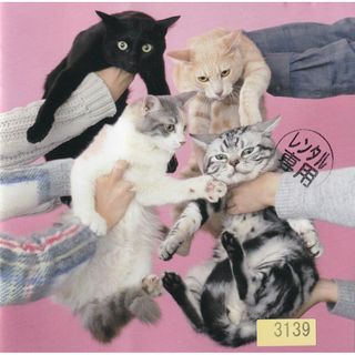 W13570 猫とアレルギー きのこ帝国 中古CDの通販 by スマイルRe-use
