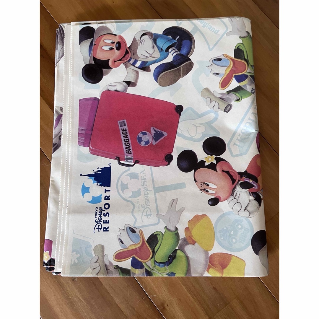 Disney - ディズニーランド ディズニーリゾート 3枚 紙袋 ショッパー