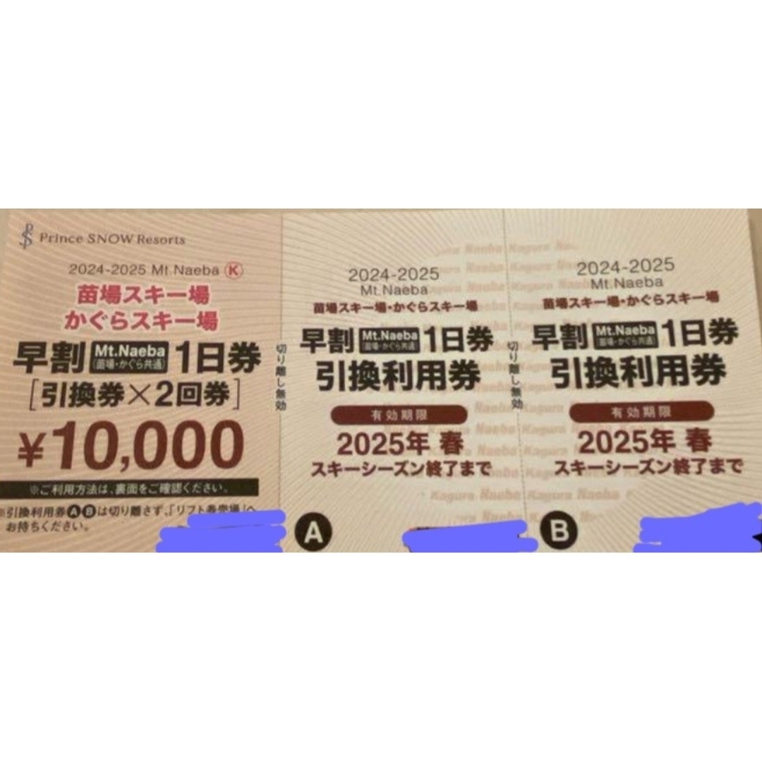 かぐらスキー場1日券引換券✕2回券 【公式通販】