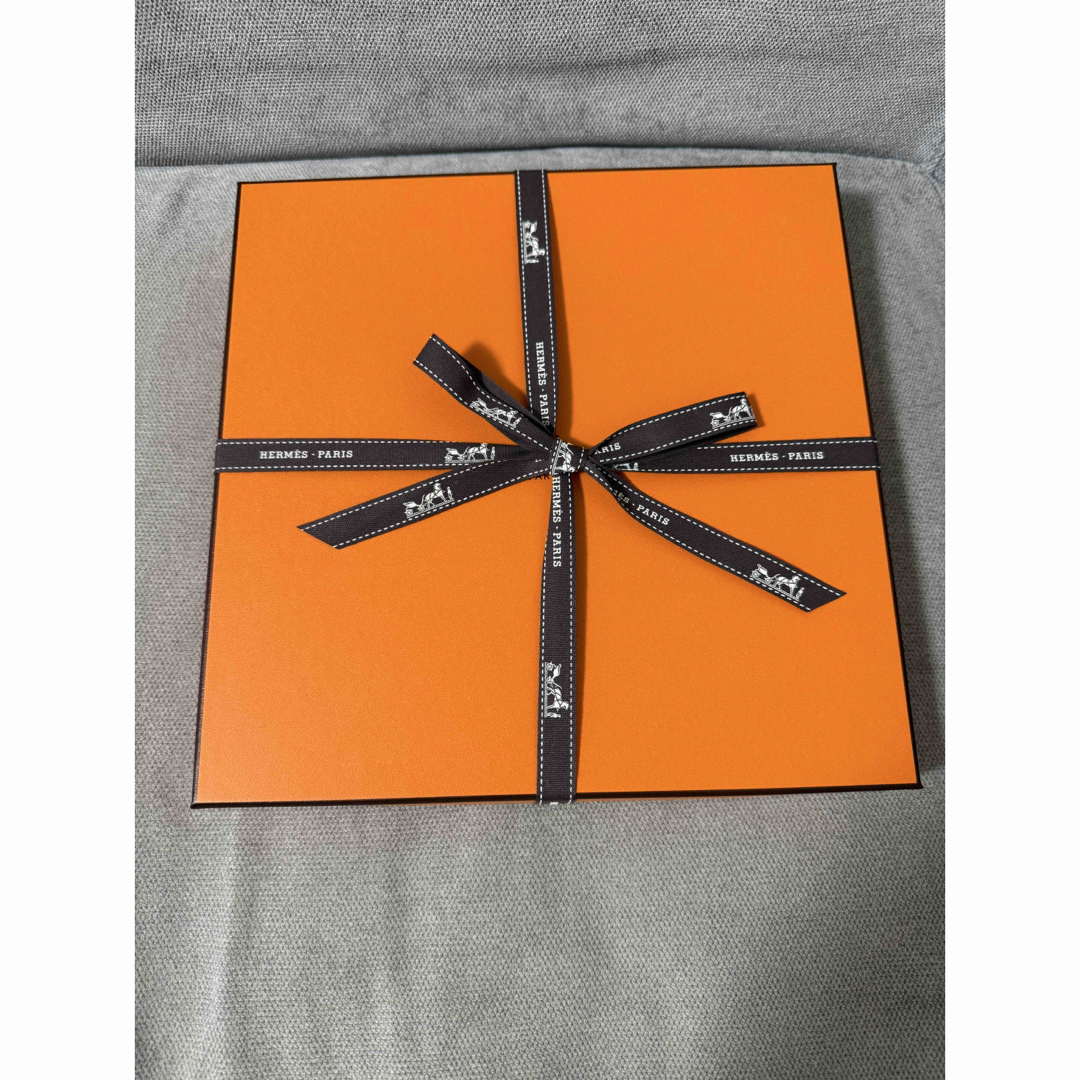 HERMES - 値下げ！新品未使用 エルメス 《ペガサスのように自由に