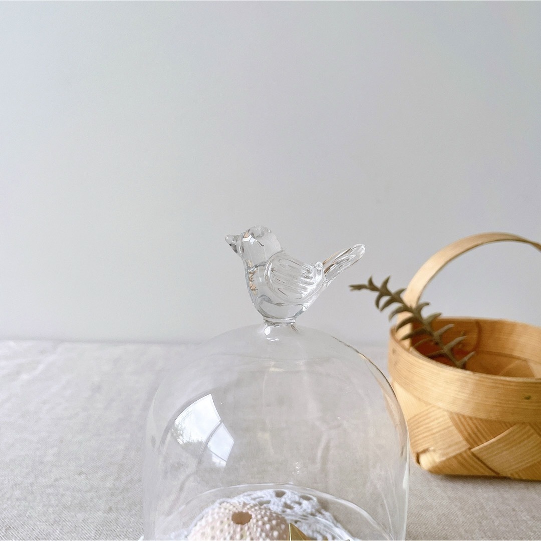 鳥のガラスドームの通販 by isu｜ラクマ