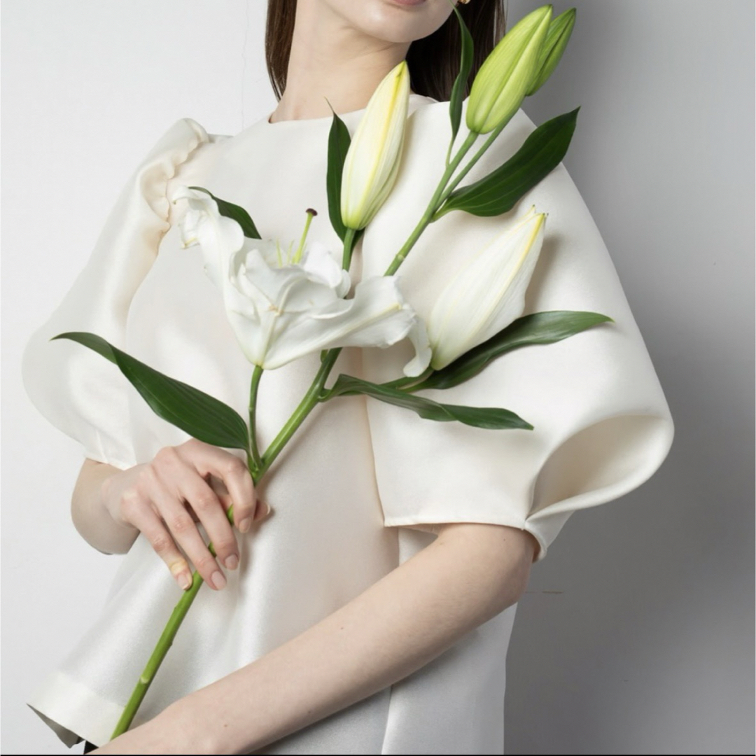 Heve ヘイヴ シアーバブリーブラウス バニラ