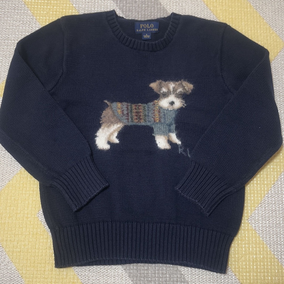 POLO RALPH LAUREN - ポロ ラルフローレン シュナウザー 犬 ニット