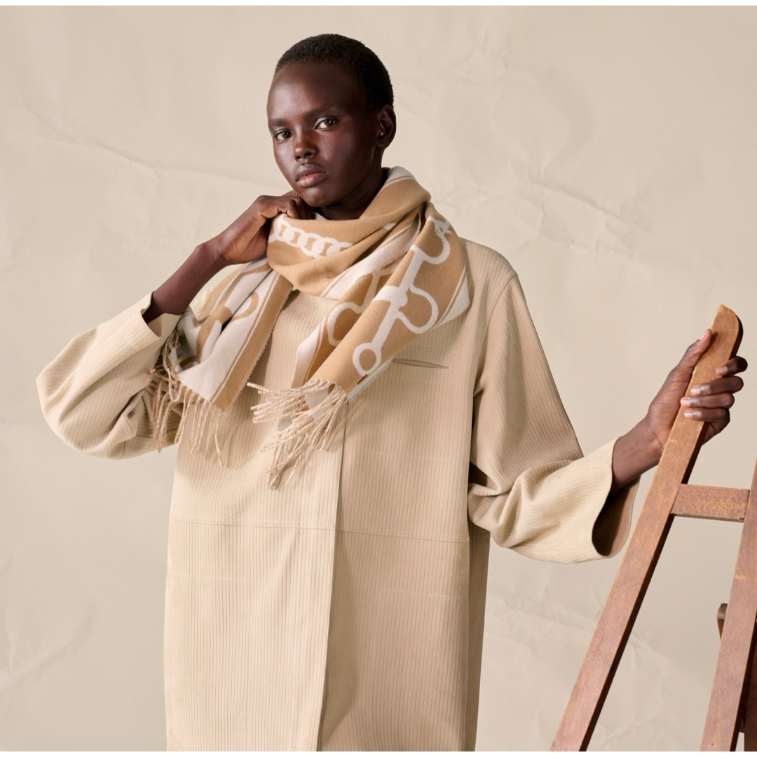 HERMES - 値下げ！新品未使用 エルメス カシミヤマフラー 《モール