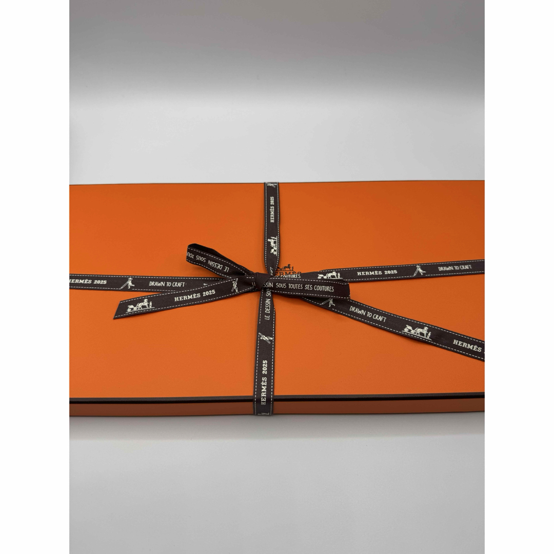 HERMES - 新品 未使用 エルメス カシシル アマゾンの祭典 完売品