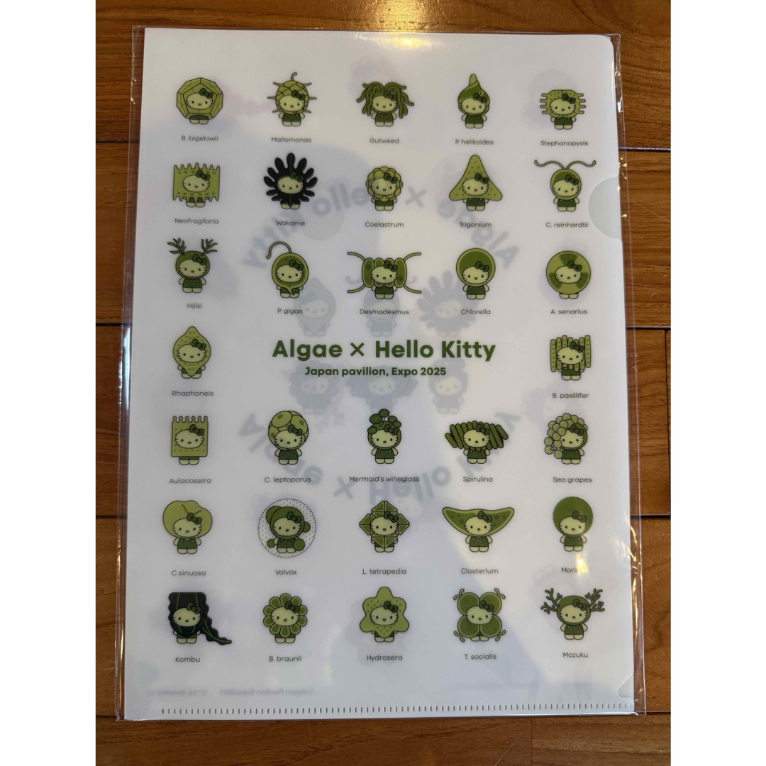 ハローキティ - 新品 大阪万博 日本館限定 キティ Algae 藻類 クリア