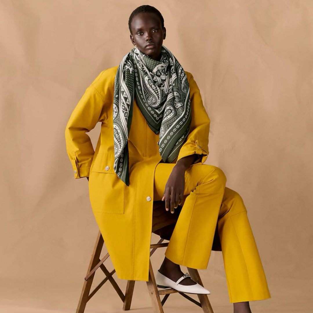 HERMES - 新品未使用品✨ 大人気 シュヴァル・ドゥ・クール カーキ