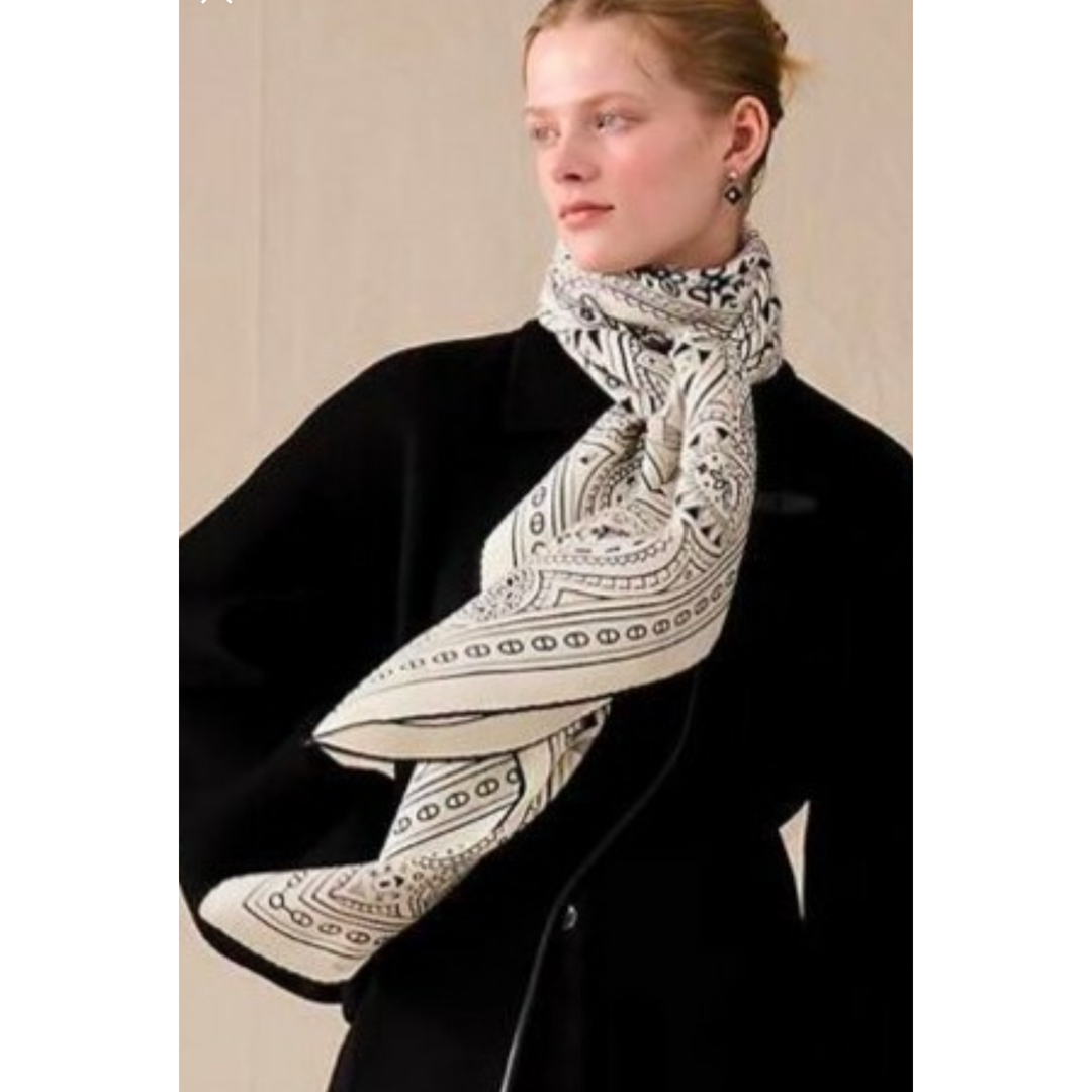 HERMES - 新品♡ 超レア国内完売品♡エルメスカシシル シュヴァル・デ