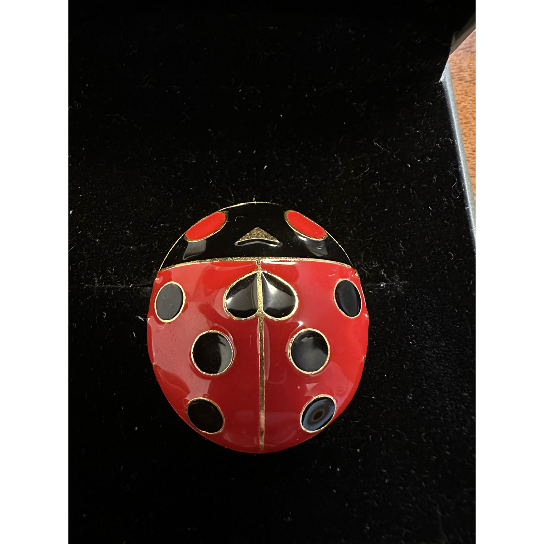 JOJO - 荒木飛呂彦原画展 ジョルノ・ジョバーナ てんとう虫ブローチの