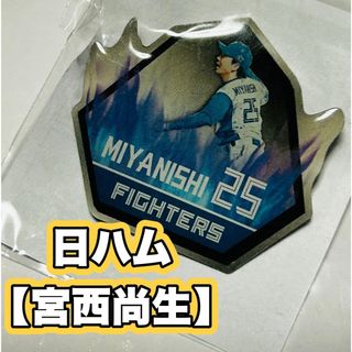 大城卓三 直筆サインボール ケース付き シーズンシートオーナー特典