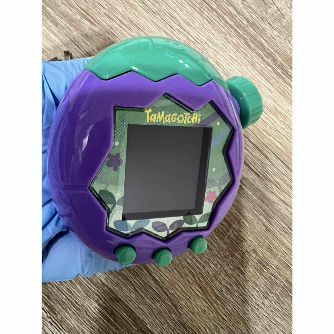 BANDAI - たまごっちパラダイス 本体 パープル×グリーン カスタム品の