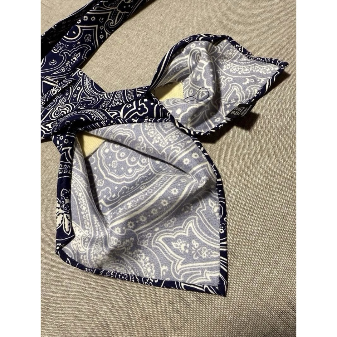 Francesco Marino／スフォデラート／ペイズリープリント／ネイビー