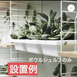 ACTUS - USM Haller USMハラー□10cm 実寸8.15cm チューブ【8本】の