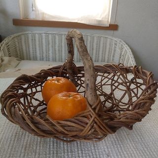 STUDIO CLIP - 新品◇ スタディオクリップ 壁掛け バスケット スタクリ