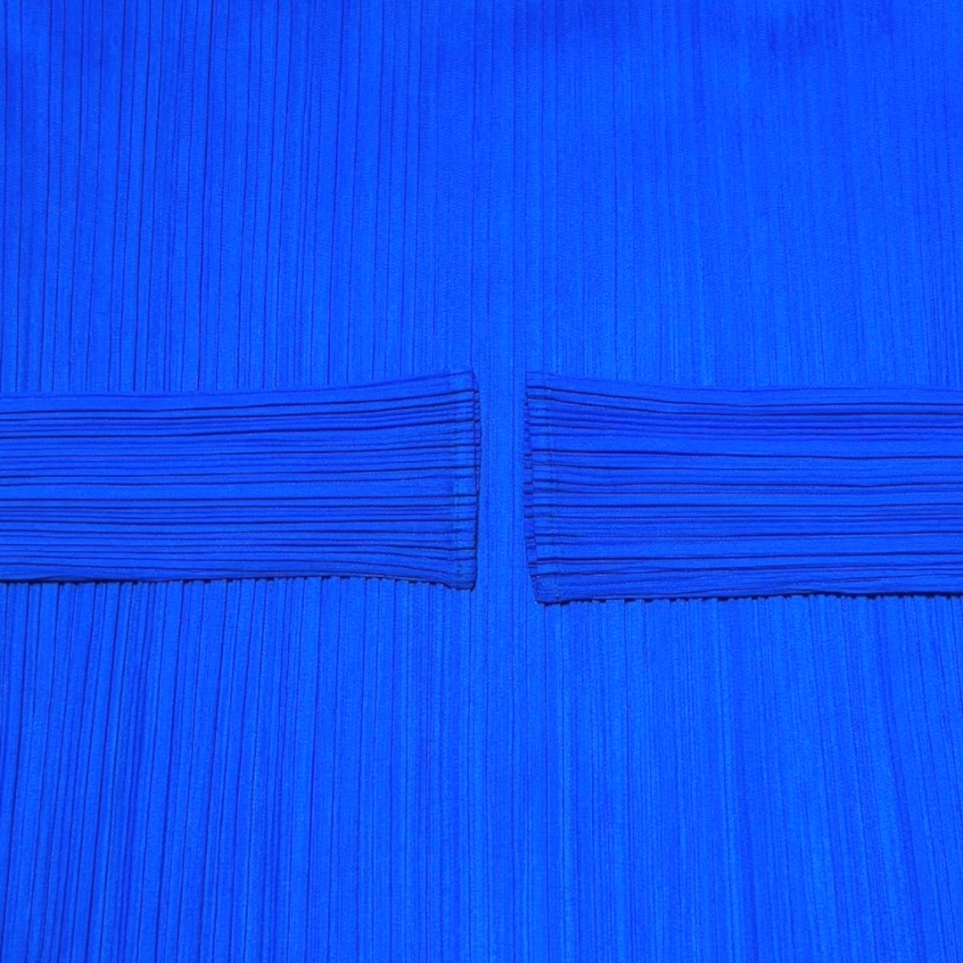 PLEATS PLEASE ISSEY MIYAKE - 極美品 プリーツプリーズ イッセイ