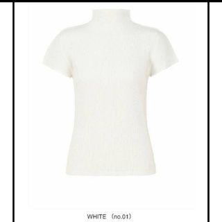 PLEATS PLEASE ISSEY MIYAKE（カットソー(半袖/袖なし)）のフリマ