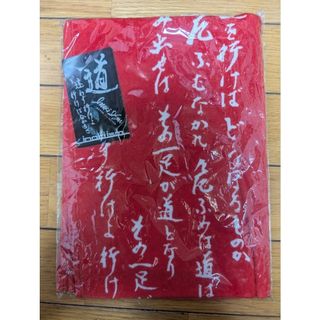 WWE AJ Styles AJスタイルズ グローブ 手袋 グッズ 未使用品の通販 by