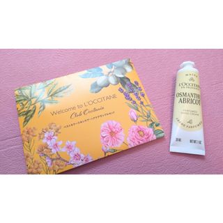 L'OCCITANE - 廃盤☆ロクシタン ガーデンオードトワレ オーデキャトル