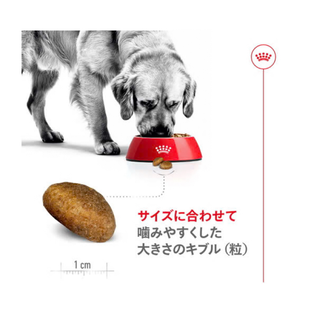 大型犬用 ドライフード 16kg 成犬用 新品未開封 ロイヤルカナンの通販