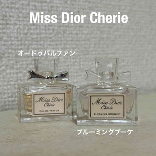 Dior - Dior クリスタル会員 バースデーギフト トラベルスプレー