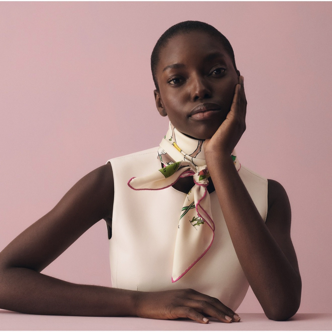 HERMES - 値下げ！新品 エルメス カレ 90 《ル・ポミエ・セリエ》 26春