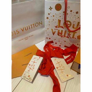 LOUIS VUITTON - ルイヴィトン 保存袋 LOUIS VUITTON バッグ 布袋の