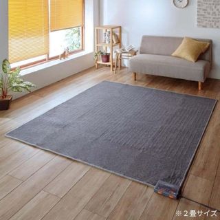 Panasonic - ホットカーペット 2畳 ナショナル 電気カーペットの通販
