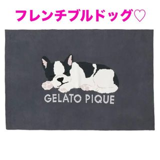 gelato pique（毛布）のフリマアイテム一覧