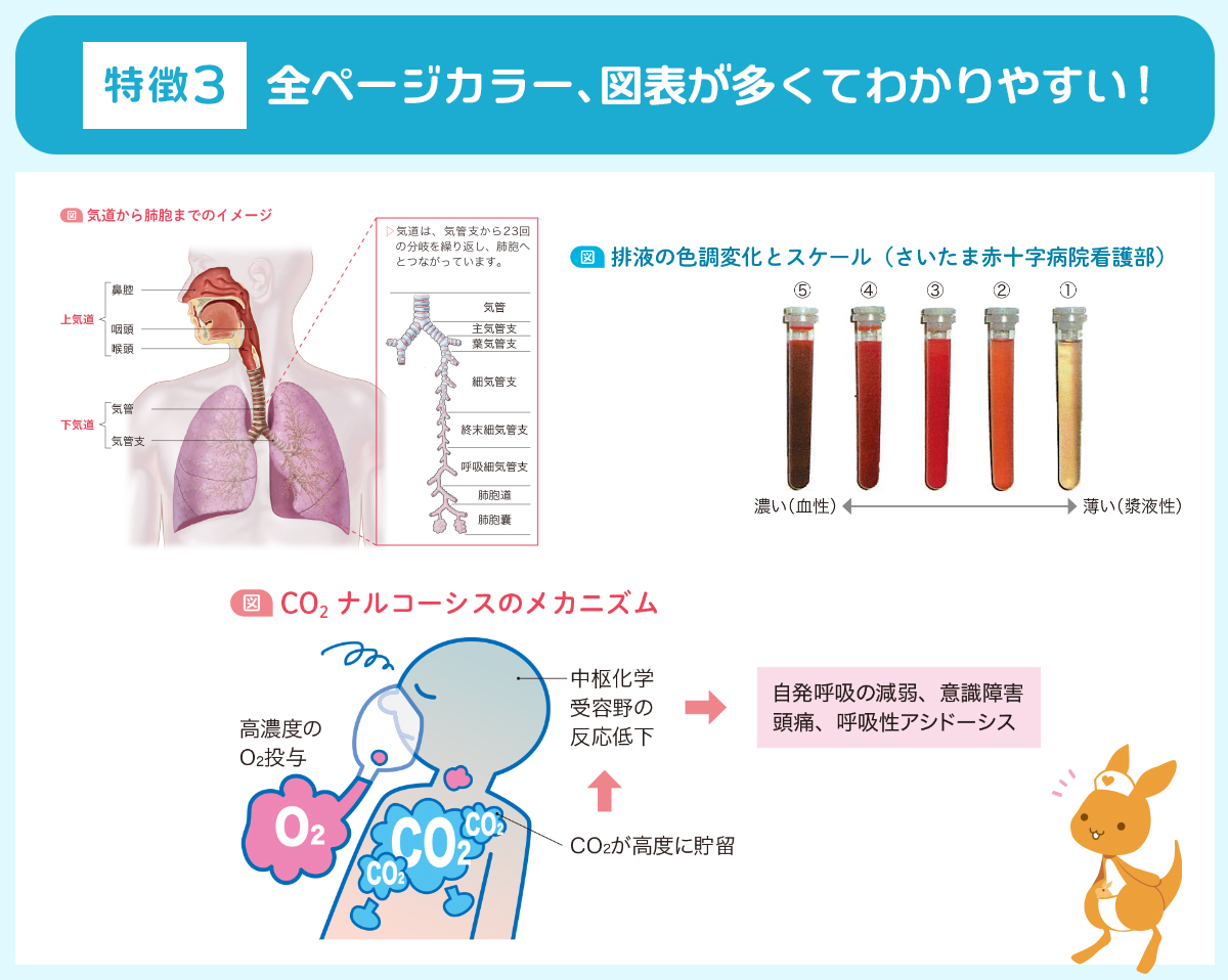 ミニBOOK付き書籍『本当に大切なことが1冊でわかる』、循環器・脳神経