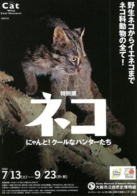 特別展「ネコ」 ～にゃんと！クールなハンターたち～｜イベントの