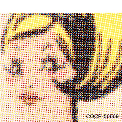 PIZZICATO FIVE in the mix : PIZZICATO FIVE | HMV&BOOKS online