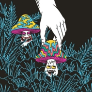 グレイトフル・デッド 1981～83年 NYマディソン・スクエア・ガーデン