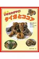 いのちかがやけ!タイガとココア 障がいをもって生まれたアムールトラの