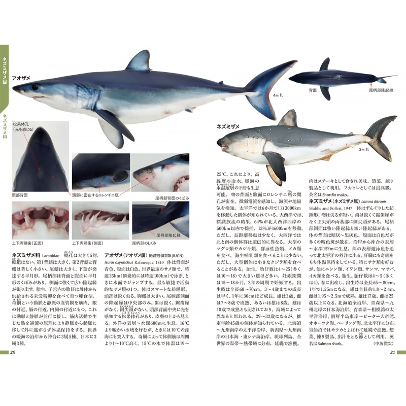 匿名配送】「新魚類解剖図鑑」2024年発行 状態良 木村清志 大須賀友一