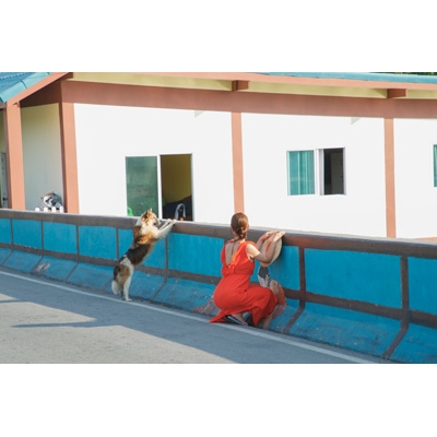 井口裕香カレンダーブック2025.4～2026.3 : 井口裕香 | HMV&BOOKS