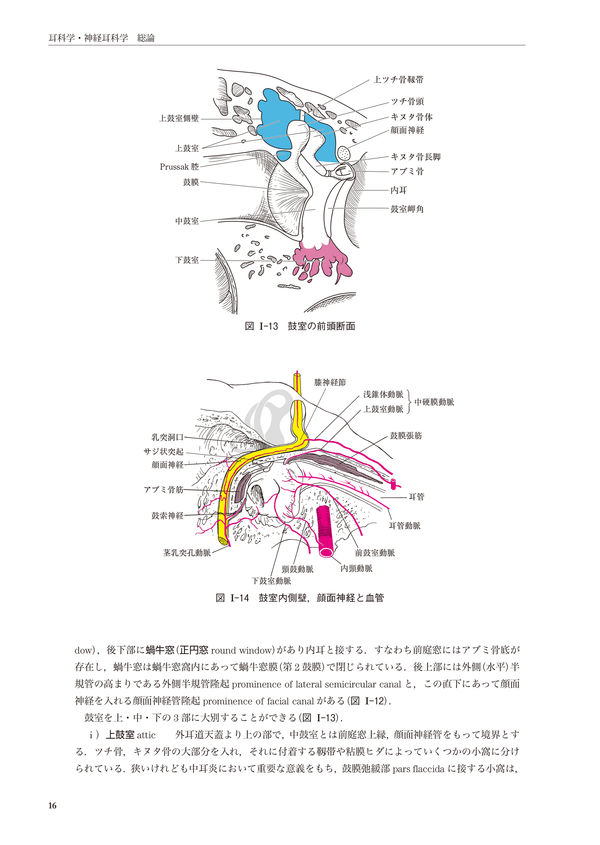 新耳鼻咽喉科学 切替 一郎(原著) - 南山堂 | 版元ドットコム
