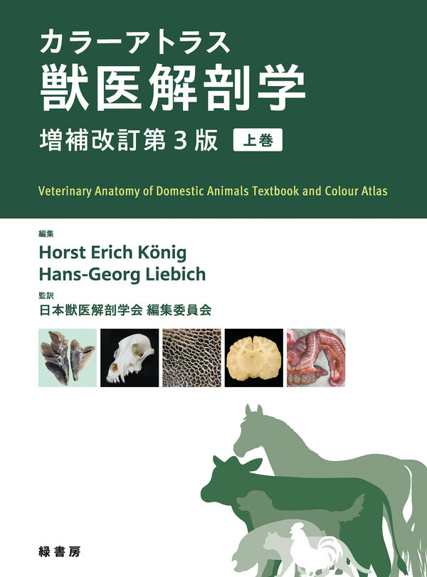 カラーアトラス獣医解剖学 増補改訂第3版 上巻 Horst Erich König(編