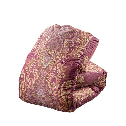 モリリン 布団・快眠グッズ 【美品】フランス産ダウン85％羽毛布団