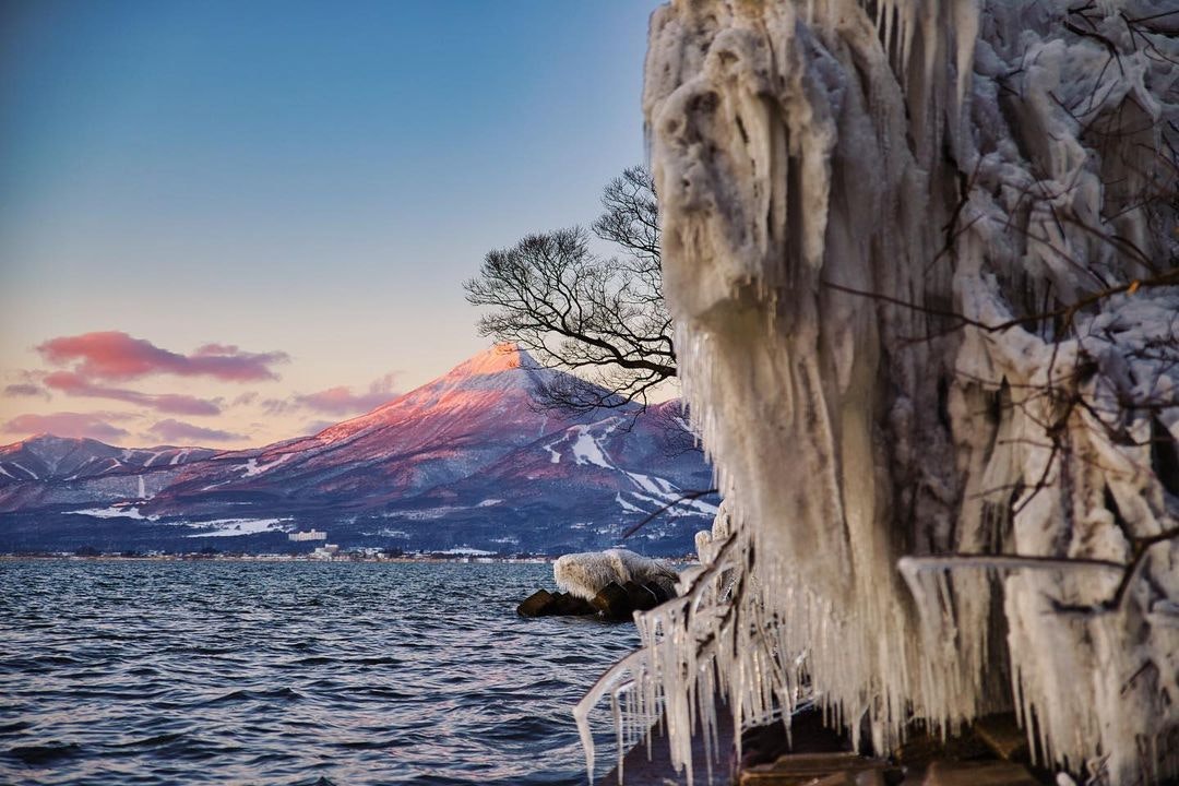 Canon EOS 6D Mark IIを徹底解説。愛用者のレビュー・作例からおすすめ