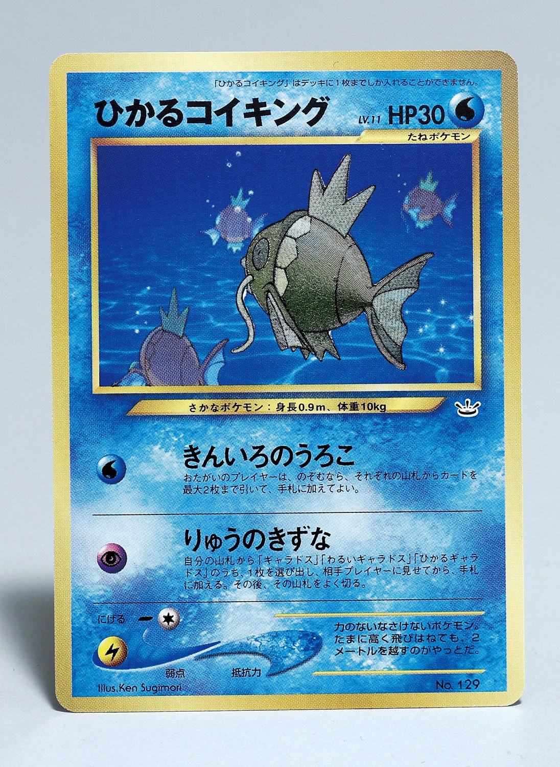 ひかるコイキング(金箔)