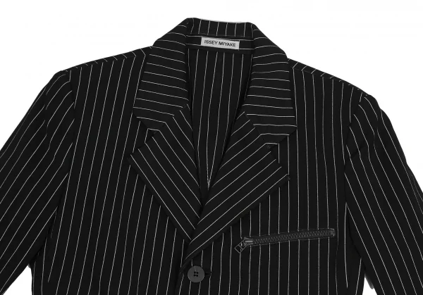 イッセイミヤケISSEY MIYAKEジップポケットストライプセットアップ
