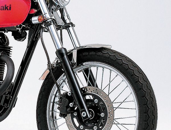 Webike | DAYTONA デイトナ ステンレスショートフェンダー 250TR(42792