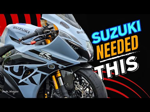 BMW R1100S R1100 S Turn Signal Corner Covers Fairings Carbon Fiber