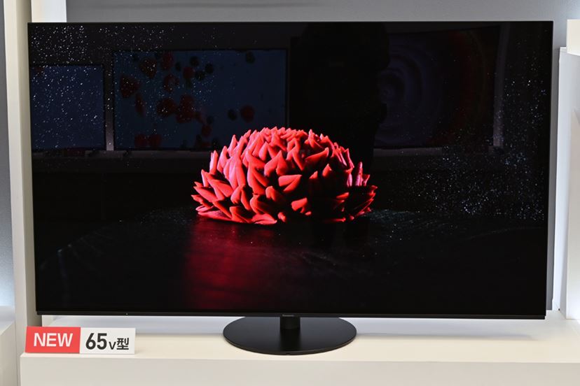 独自構造の有機ELを下位モデルにも展開！ 4K有機ELビエラ2021年モデル