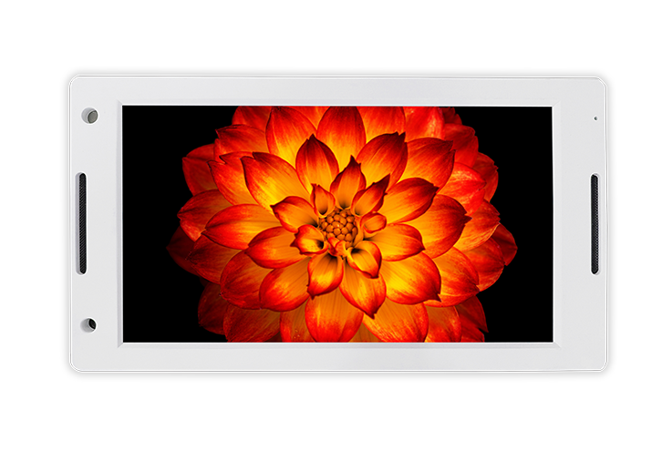 impactTVシリーズ | 株式会社impactTV